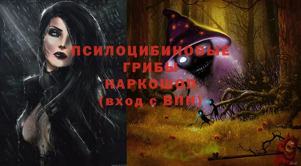 ECSTASY Белокуриха