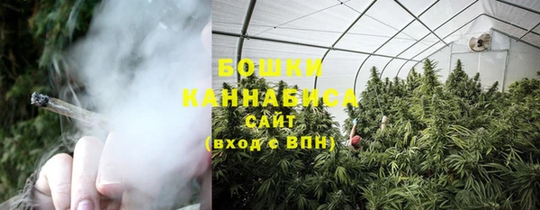 ECSTASY Белокуриха