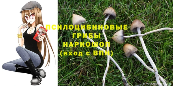 ECSTASY Белокуриха